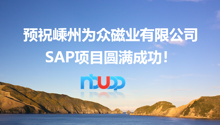 優(yōu)德普,嵊州為眾磁業(yè),SAP ByD項目,SAP Business ByDesign ERP云,SAP ByD案例