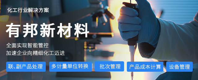 ERP軟件,本地化,ERP實施商,優(yōu)德普,ERP本地實施,SAP ERP軟件,SAP系統(tǒng)