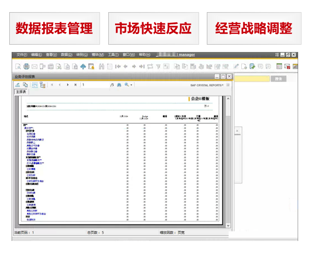 SAP財(cái)務(wù)管理系統(tǒng),業(yè)財(cái)一體化的ERP軟件,SAP ERP,財(cái)務(wù)管理系統(tǒng),ERP財(cái)務(wù)管理軟件