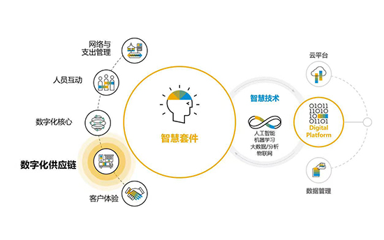SAP S/4HANA不同版本,SAP S/4HANA Cloud,SAP S4軟件,SAP本地版和訂閱版