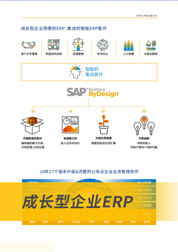 ERP軟件,本地化,ERP實施商,優(yōu)德普,ERP本地實施,SAP ERP軟件,SAP系統(tǒng)